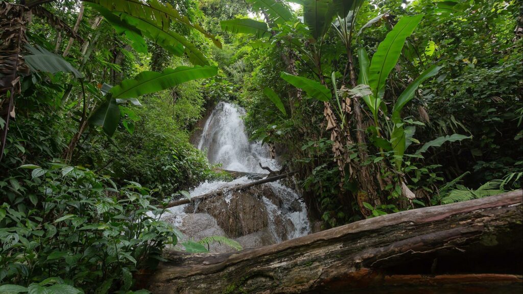 NKHP-7 – Das Verborgene Paradies von Nong Khiaw – 7 Tage
