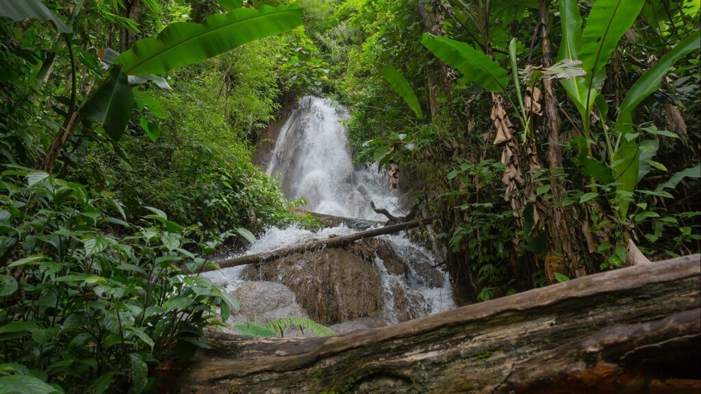 HAJ-10 – Nord-Laos Expedition: Bergvölker & Dschungelpfade – 10 Tage