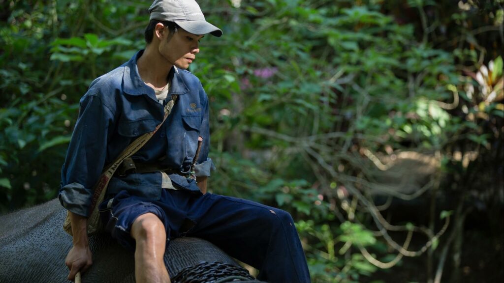 Laos, Luang Prabang : Shangri Lao Classic Explorer – 2 Days | Explore the Jungles by Elephant