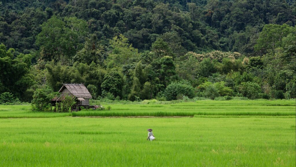 Laos, Luang Prabang : The Small Chili Mountain Bike Ride – 1 Day | Find Your Own Adventure Outside of Town