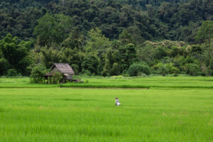 NKHP-7 – Das Verborgene Paradies von Nong Khiaw – 7 Tage