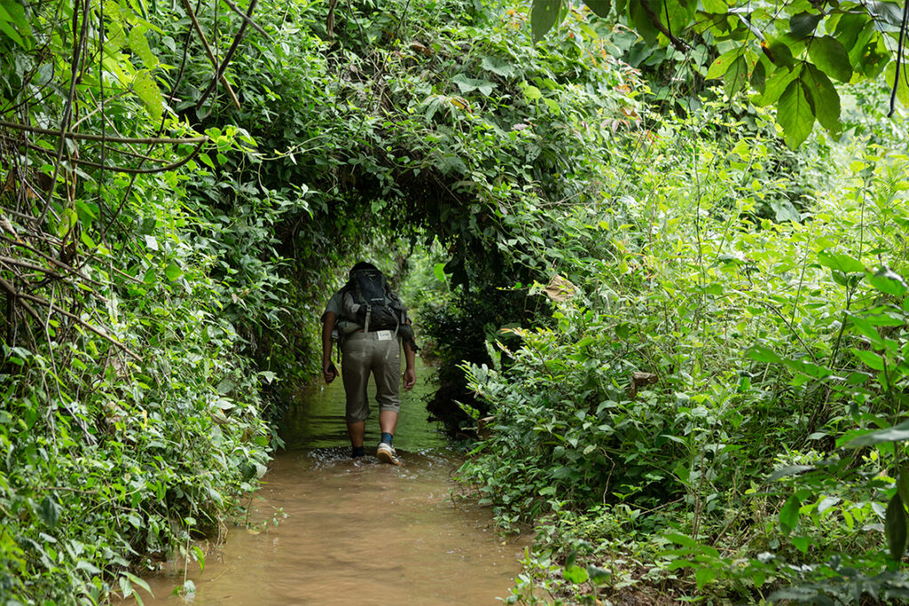 NKHP-7 – Das Verborgene Paradies von Nong Khiaw – 7 Tage