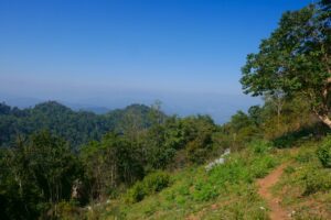 FT-2HT – Tiefer Dschungel & weiter Himmel – 2 Tage