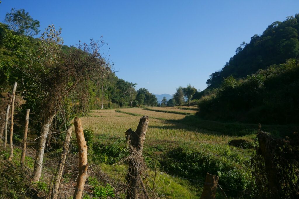 FTK-2HNP – Vom Berg zum Fluss: Die Houy Nok Phit Expedition – 2 Tage