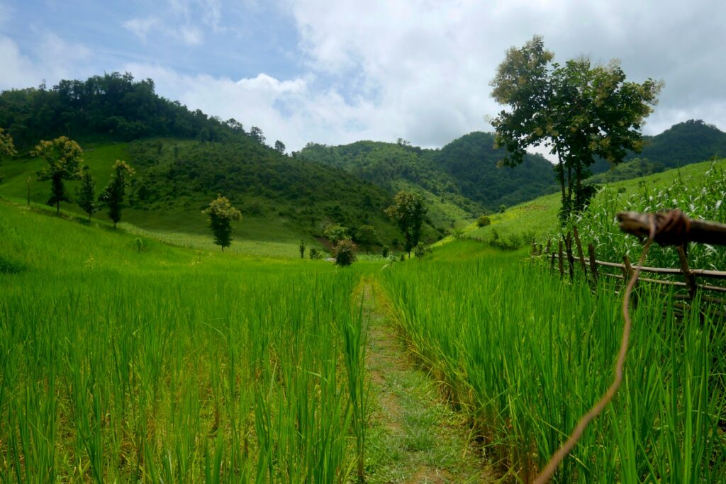FT-1HNP – Der Houy Nok Phit Trail – 1 Tag