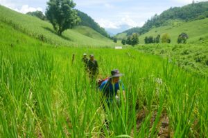 FT-1HNP – Der Houy Nok Phit Trail – 1 Tag