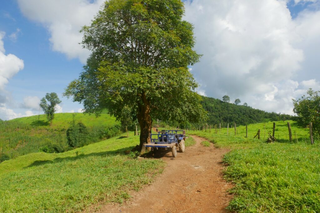 FT-1HNP – Der Houy Nok Phit Trail – 1 Tag